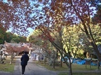 ただ今上映中！「君と100回目の恋」ロケ地の牛窓神社