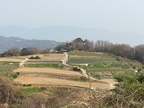 パッチワークの丘　３月の風景