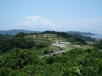 牛窓　パッチワークの丘　初夏の風景