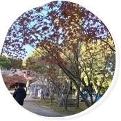 ただ今上映中！「君と100回目の恋」ロケ地の牛窓神社