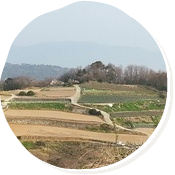 パッチワークの丘　３月の風景