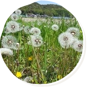 風に乗って牛窓を出発～♪