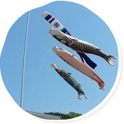 牛窓の鯉のぼりも元気に泳いでいます。