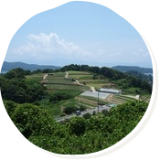 牛窓　パッチワークの丘　初夏の風景